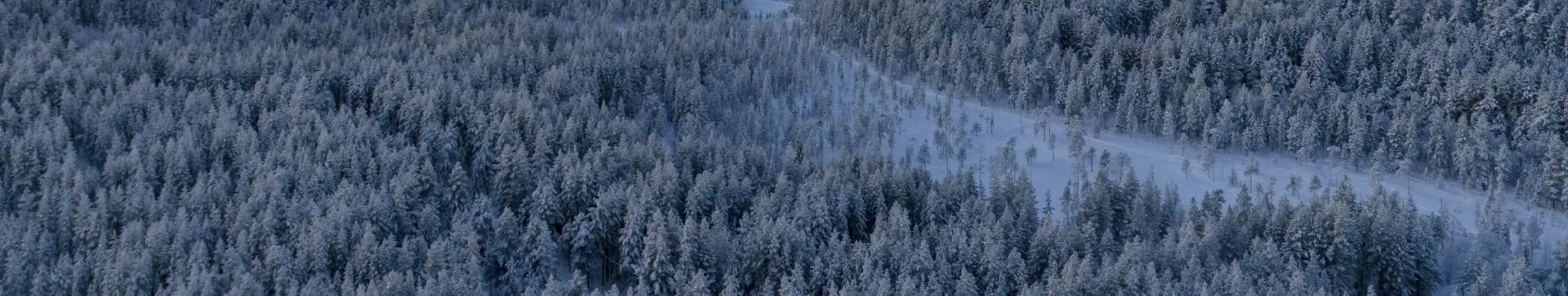 Features Background Image